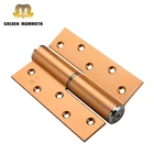 Glod Color Buffer Door Closers Automatic Closing Hinge for Wood Door, 5 Inch H type Bathroom Door Hinge