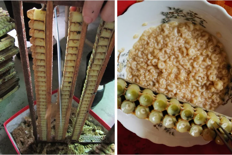 USDA pure organic fresh royal jelly good health gelle royal jelly for sale