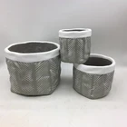 Pots Decorative Cement Concrete Relief Succulent Planter Pots