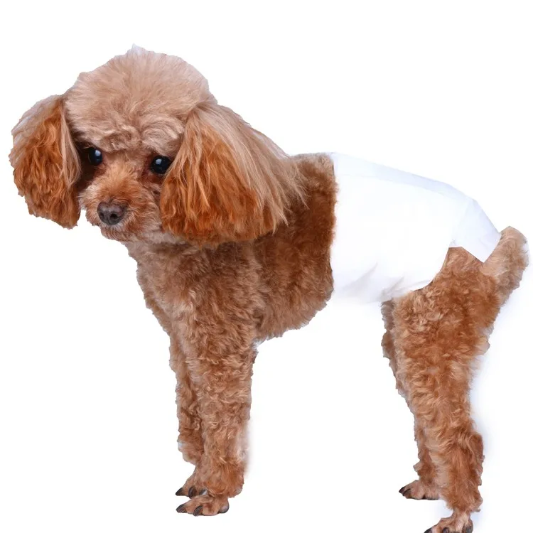 Biodegradable disposable pet Male Dog diaper wraps, Customized 
Biodegradable disposable pet Male Dog diaper wraps, Customized