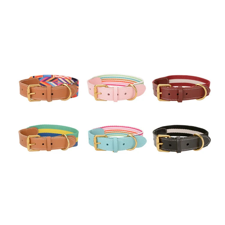 Simple Elegant Custom Design Print Led Cat Traction Supplies Pet Leather Collar Set Dog Leash
Simple Elegant Custom Design Print Led Cat Traction Supplies Pet Leather Collar Set Dog Leash