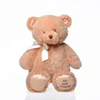 Custom logo small teddy bears soft plush stuffed teddy bear toy