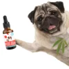 /product-detail/organic-hemp-oil-for-dogs-cats-cbd-pets-oil-with-vitamin-a-e-and-omega3-6-9-62268878995.html