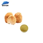 30% polysaccharide plant extract lions mane mushroom powder hericium erinaceus