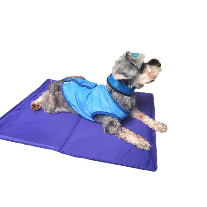 New design summer hot sale self cooling gel sponge soft cold ice pet dog cooling mat, Customized color
New design summer hot sale self cooling gel sponge soft cold ice pet dog cooling mat, Customized color