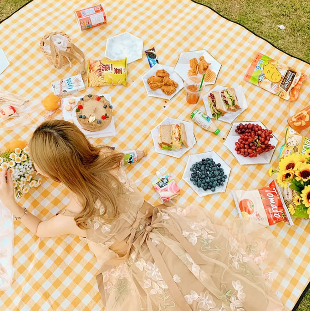 Lattice pattern Outdoor Portable Moisture Insulating Waterproof Mat Beach Camping Picnic mat
Lattice pattern Outdoor Portable Moisture Insulating Waterproof Mat Beach Camping Picnic mat