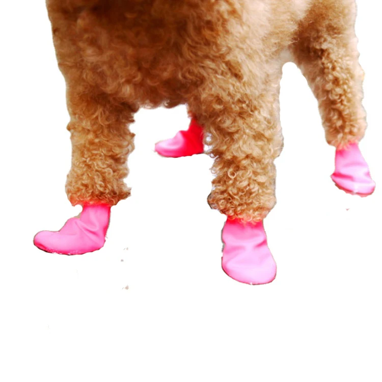 2019 new designed fashion waterproof balloon dog shoes outdoor for rainy days, Yellow, blue, pink
2019 new designed fashion waterproof balloon dog shoes outdoor for rainy days, Yellow, blue, pink