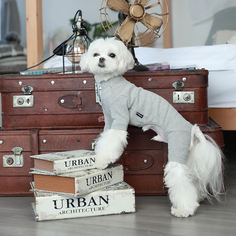 New Best Selling Pet Clothing Dog T shirt Comfortable Skin-Friendly Dog Bottoming Shirt Pets Accessories Dogs Clothes For KR JP