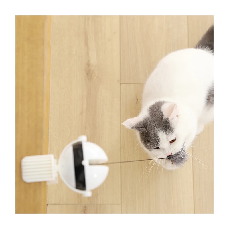 Big Cats Kittens Garfield Like Play Christmas Gravity Cat Pet Toy For Indoor, Picture 
Big Cats Kittens Garfield Like Play Christmas Gravity Cat Pet Toy For Indoor, Picture