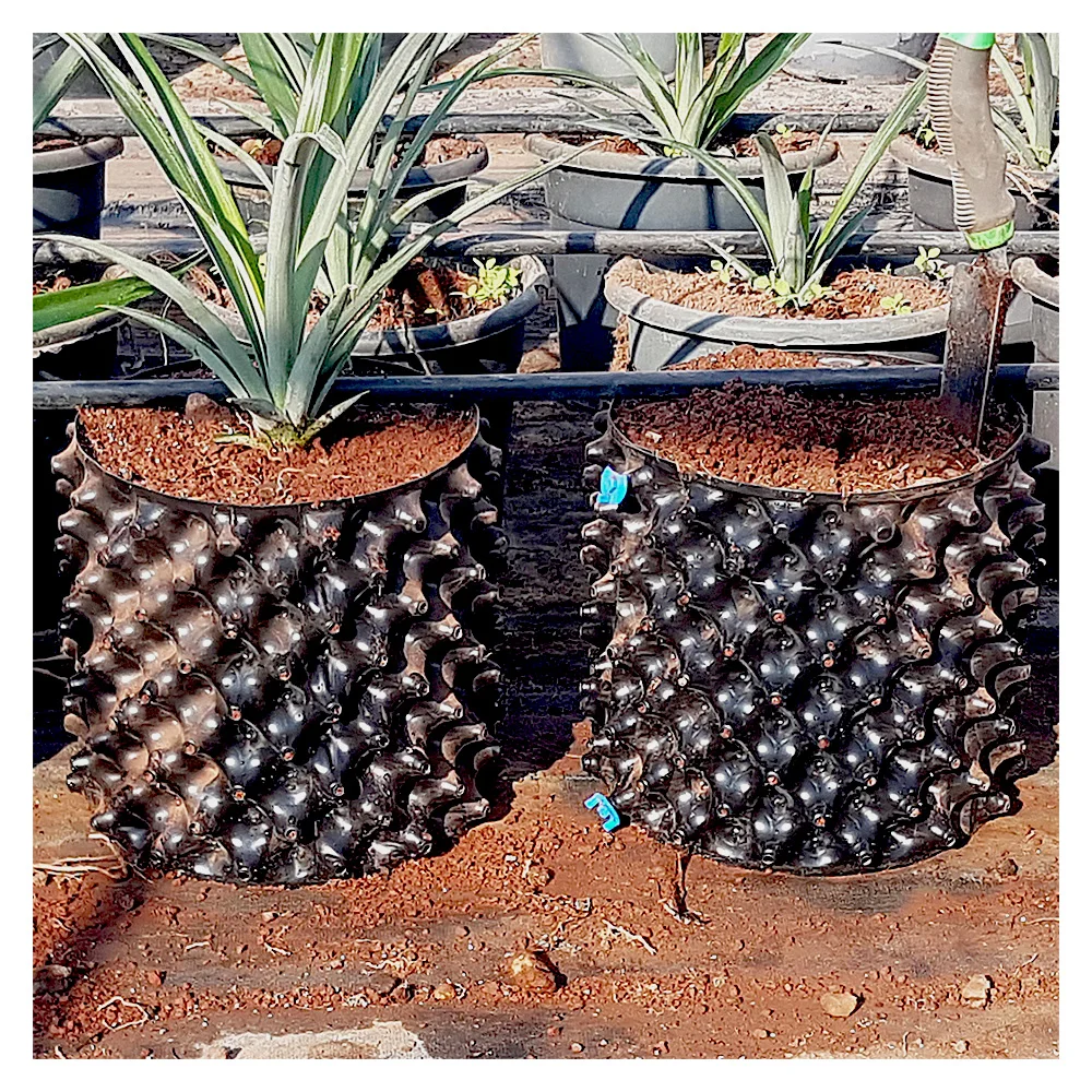 new super durable plant cultivation hydroponic air pruning pot biodegradable root control container, Black, white, customized
new super durable plant cultivation hydroponic air pruning pot biodegradable root control container, Black, white, customized