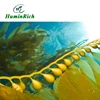 /product-detail/-huminrich-seplus-sy1001-100-natural-organic-fertilizer-seaweed-alga-fertilizer-62218471652.html