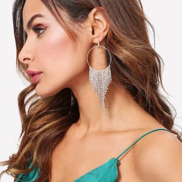 Exaggerated Korean long luxury crystal tassel hypoallergenic earrings 925 silver earrings for women
Exaggerated Korean long luxury crystal tassel hypoallergenic earrings 925 silver earrings for women
