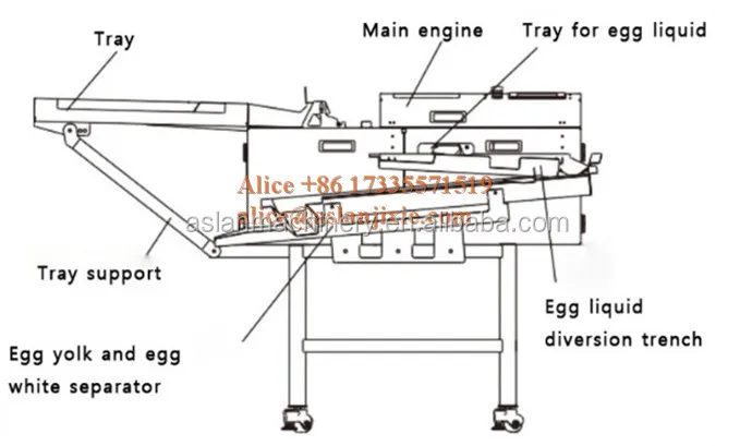 egg yolk separator (9).jpg