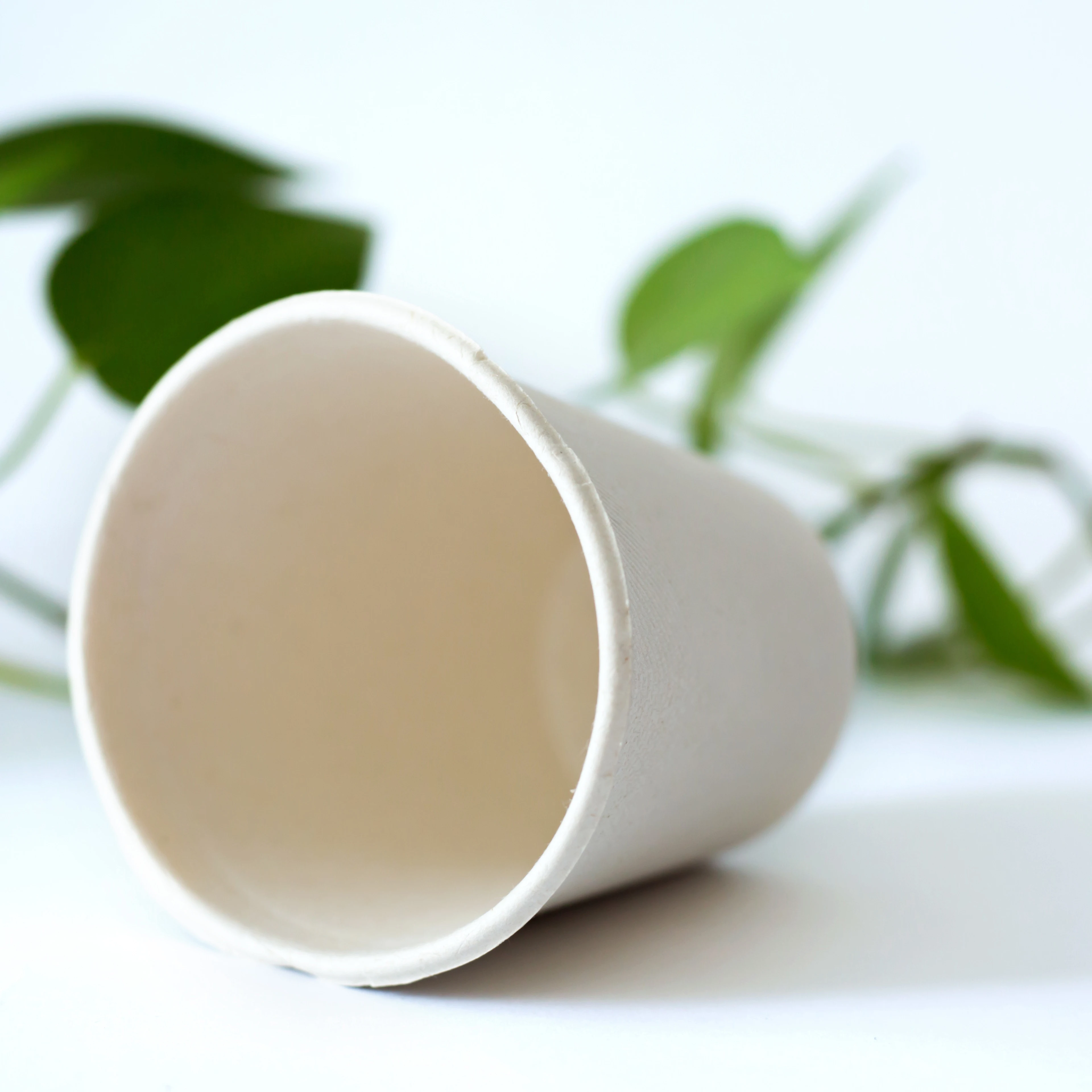 Factory Wholesale Paper Cup Fan Custom Logo Printed Biodegradable Bagasse Paper Blanks Cup Compostable Sugarcane Coffee Cup
Factory Wholesale Paper Cup Fan Custom Logo Printed Biodegradable Bagasse Paper Blanks Cup Compostable Sugarcane Coffee Cup