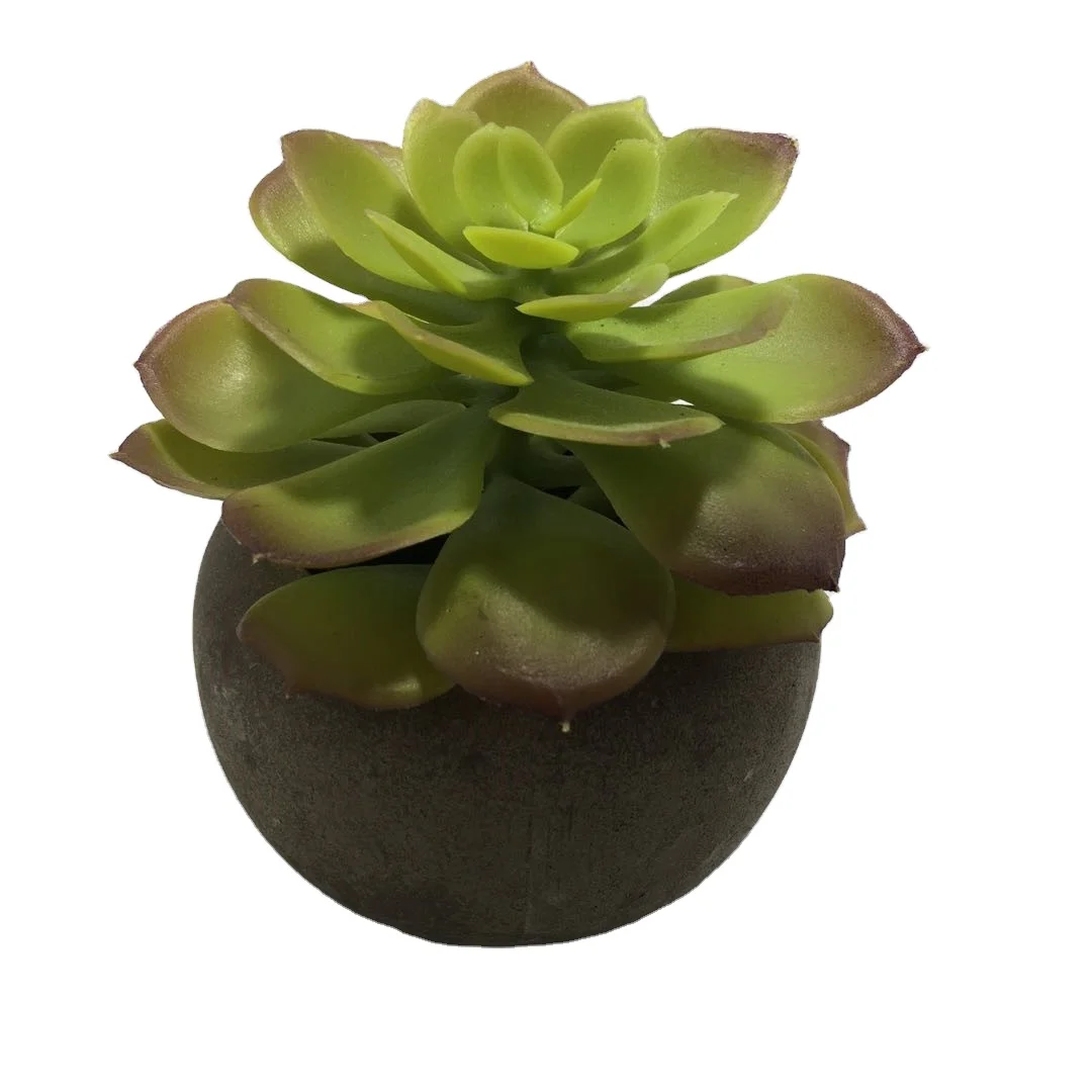 Factory direct succulent plant simulation flower whole prop small pot selects mini small pot wholesale bonsai, Customized
Factory direct succulent plant simulation flower whole prop small pot selects mini small pot wholesale bonsai, Customized