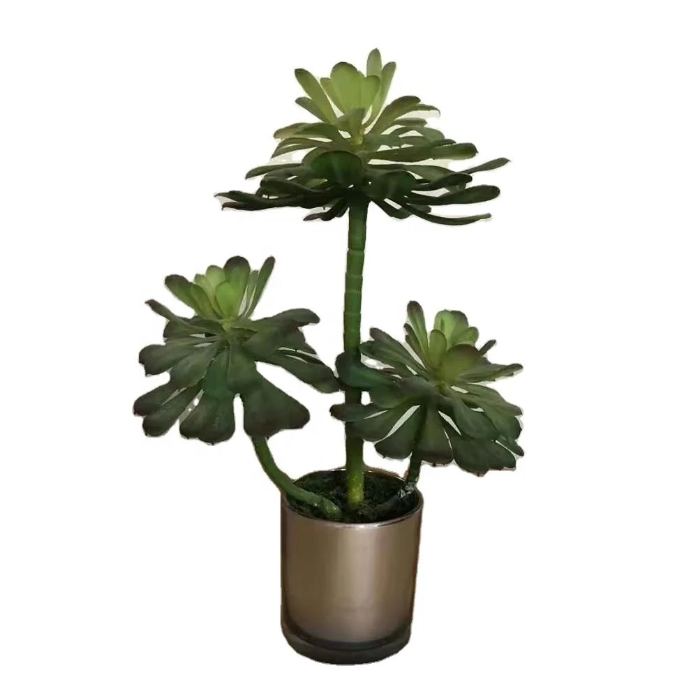 New faux plastic mini plants tropical artificial succulent mini plants in creative resin mental and ceramic pot, Green yellow and red
New faux plastic mini plants tropical artificial succulent mini plants in creative resin mental and ceramic pot, Green yellow and red