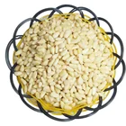 Nuts Pine Pine Nuts Chinese Best Chinese Nuts Kernel Pine Nuts Kernels From Wild