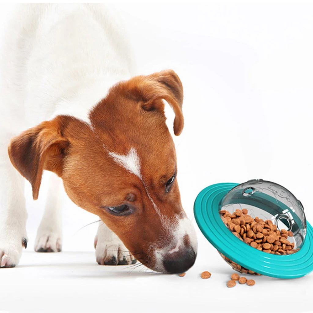 Pet products dog toy feeders Leaky food feeder training tumbler dispenser food, Blue,yellow
Pet products dog toy feeders Leaky food feeder training tumbler dispenser food, Blue,yellow