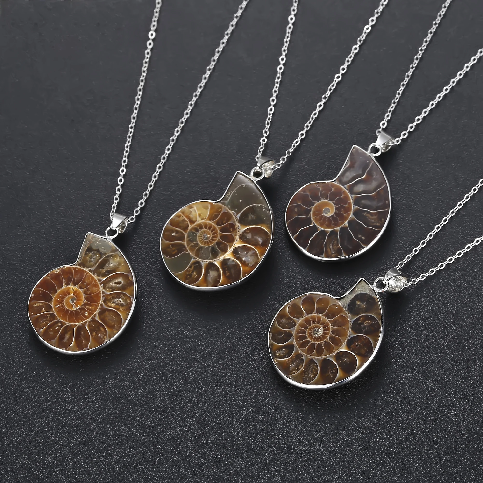 JOYA GIFT Charm Handmade Natural Conch Ammonite Silver Wrapped Pendant Shell Necklace for Women, Picture
JOYA GIFT Charm Handmade Natural Conch Ammonite Silver Wrapped Pendant Shell Necklace for Women, Picture