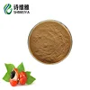 /product-detail/food-addictive-guarana-extract-powder-guarana-powder-62406213870.html