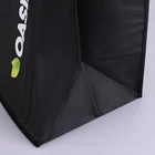 Promotional Pp Non Woven Bag Promotional Custom Printed Recycled Reusable Handle Pp Non Woven Bag