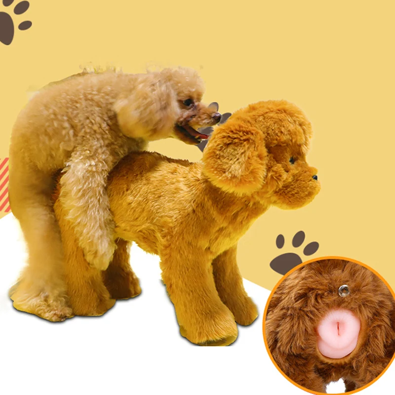 Dogs Interactive Sleeping Toys Spleasure Stuffed Teddy Chihuahua Play Estrus Toy Partner Plush Pet Funny Male dog Toys, Brown
Dogs Interactive Sleeping Toys Spleasure Stuffed Teddy Chihuahua Play Estrus Toy Partner Plush Pet Funny Male dog Toys, Brown