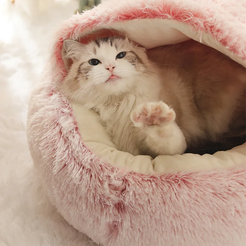 2 In 1 Fluffy Wholesale Dog Pet Bed Teapot Type Kennel Winter Warm Breathable Pet Supplies Dog Cat Calming Small Cave Bed
2 In 1 Fluffy Wholesale Dog Pet Bed Teapot Type Kennel Winter Warm Breathable Pet Supplies Dog Cat Calming Small Cave Bed