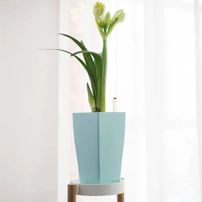 Amazon Supplies High Quality Modern Indoor Outdoor 3 mm Thickness Planters With Drain Holes Plastic Flower Pots
Amazon Supplies High Quality Modern Indoor Outdoor 3 mm Thickness Planters With Drain Holes Plastic Flower Pots