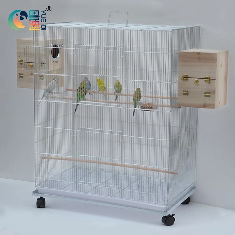 economy small steel power coating aviary parrot cage 423, White/black & others
economy small steel power coating aviary parrot cage 423, White/black & others