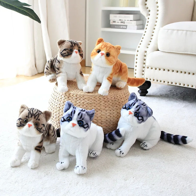 Cute simulation cat dolls plush toy cat pillow cat doll Rag Doll soothing gift for children
Cute simulation cat dolls plush toy cat pillow cat doll Rag Doll soothing gift for children