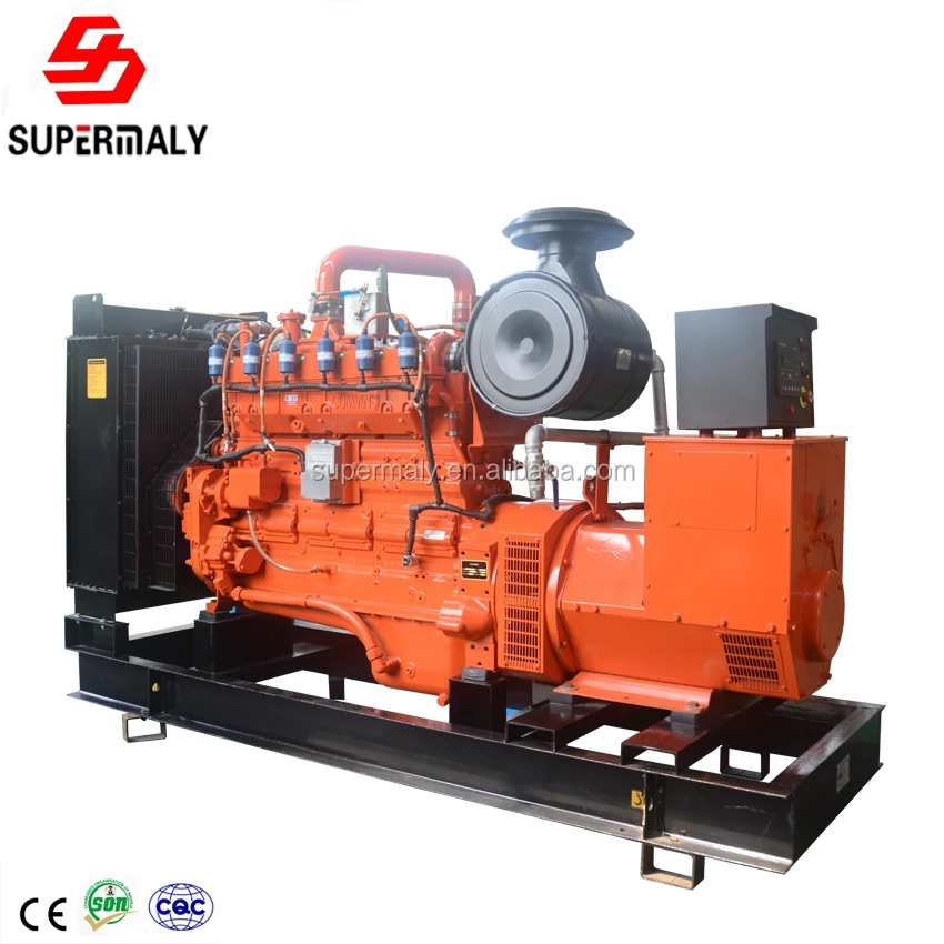 HOT!3 phase 4 wire  LNG gas generator with low factory price and digital control