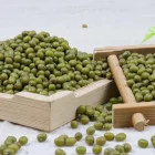 Mung Bean Mung Beans Green New Crop High Quality Organic Sprouting Green Mung Bean