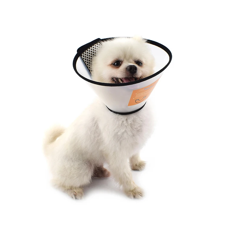 Pet Equipment Cat Protective Anti Bite Lick Neck Elizabeth Circle, Black,organge ,colourless
Pet Equipment Cat Protective Anti Bite Lick Neck Elizabeth Circle, Black,organge ,colourless