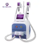 Weight Loss Body Freeze Fat Machine CE Machine Cryotherapy Fat Freezing Body Slimming Machine