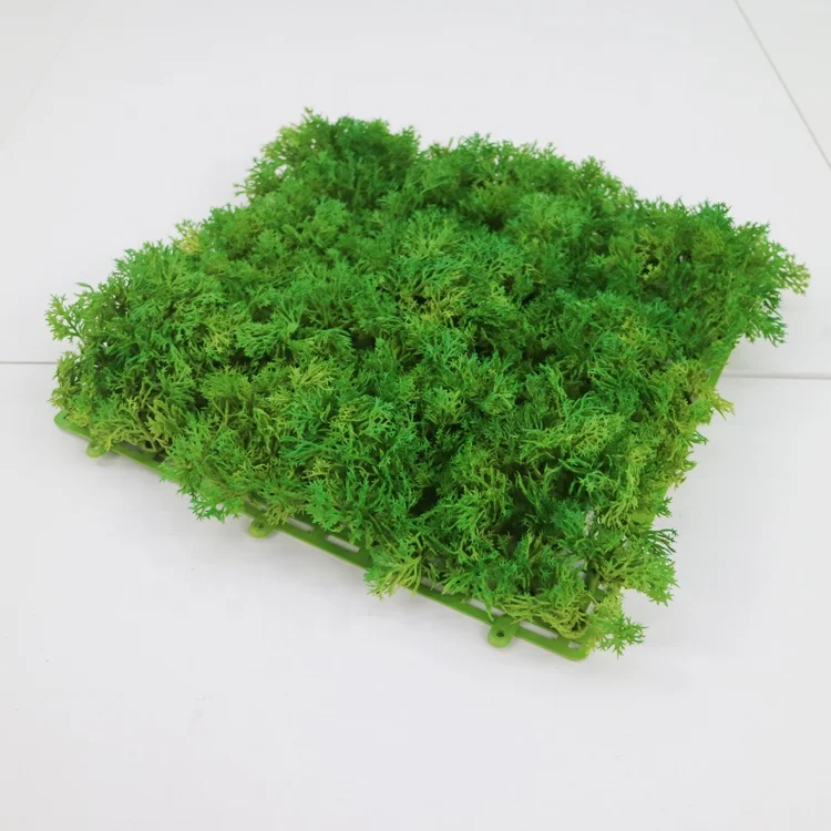 25cm x 25cm good quality plastic moss mat for vertical green wall base decoration
25cm x 25cm good quality plastic moss mat for vertical green wall base decoration