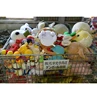 /product-detail/hot-selling-dolls-bale-used-toys-for-sale-with-cheap-price-62304034157.html