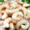 /product-detail/hot-sale-fresh-seafood-red-frozen-shrimps-50-70-with-good-price-62249097722.html