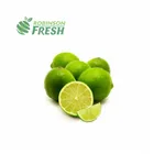 Fresh LIME USA Robinson Fresh America US Citrus, 200p/Carton, MOQ 60 Carton