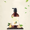 /product-detail/private-label-organic-eco-fresh-ginger-herbal-hair-shampoo-62236245641.html