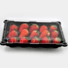 Transparent storage clear food box with lid plastic container