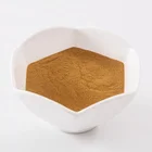 Bee Propolis Extract Hot Selling High Pure Health Food Powder