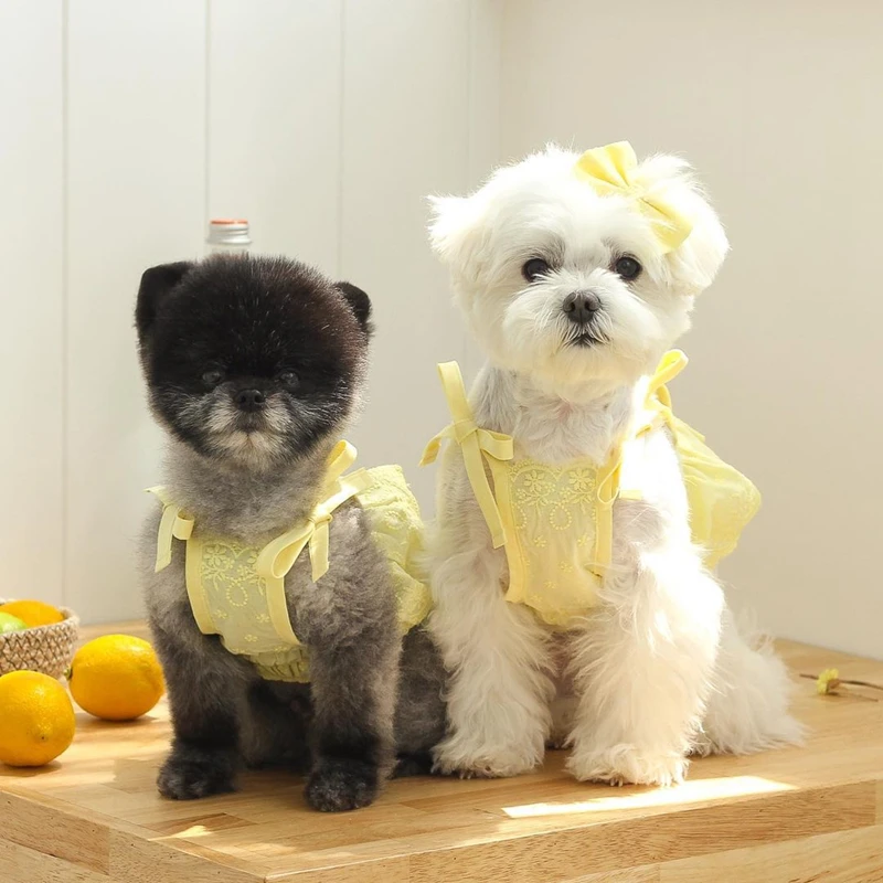 Braces Skirt Lovely Lace Pet Dog Puppy Skirt Pet Short Skirt Slip Dress Bowknot Dress, 3 colors
Braces Skirt Lovely Lace Pet Dog Puppy Skirt Pet Short Skirt Slip Dress Bowknot Dress, 3 colors