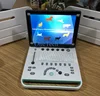 /product-detail/popular-used-laptop-veterinary-ultrasound-machine-microconvex-probe-vet-ultrasound-equipment-for-dogs-b13v-60685877819.html