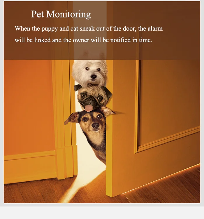 Original xiaomi Intelligent body sensor smart home motion sensor smart linkage alarm - ANKUX.COM