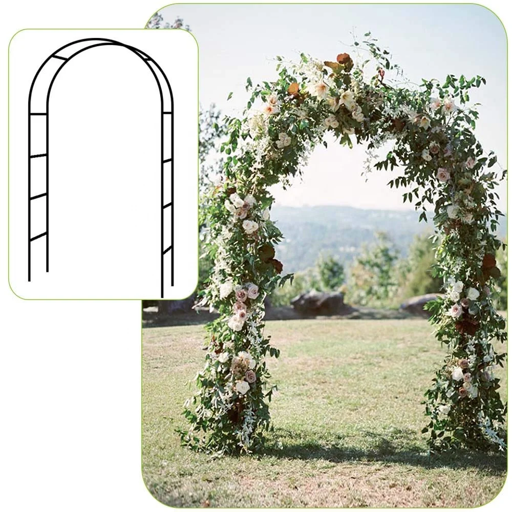 金属花园拱门与植物攀爬的门