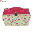 Fashion Rectangular Mini Tin Metal Lunch Box with Handle and Lock