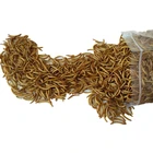 fish application dried mealworms, pet food full fat protein mealworm