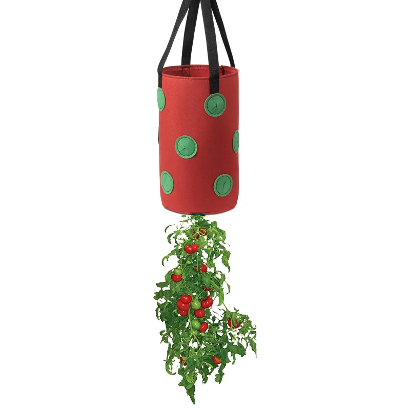 CL084 Bottom Holes Fruit Growing Bag Non Woven Fabric Vertical Garden Hanging Planting Bag Greenhouse Vegetable Planter Bags, 3 colors
CL084 Bottom Holes Fruit Growing Bag Non Woven Fabric Vertical Garden Hanging Planting Bag Greenhouse Vegetable Planter Bags, 3 colors