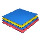 Wholesale eva foam Martial Arts jigsaw floor Tatami puzzle Mats