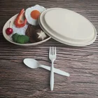 Wheat Straw Fiber Lunch Box With PET lid Degradable Thickened Dumpling Packaging Box Takeaway Salad Box